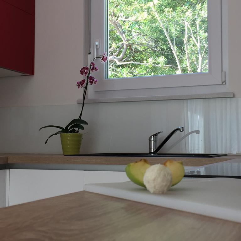 Apartment Panoss Rovinj Eksteriør billede